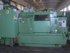 GILDEMEISTER GS 20 multispindle Lathe