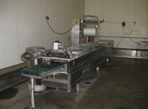 Used Multivac R230 Thermoforming Machine