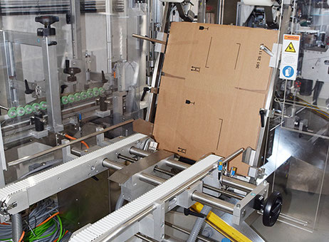Pester Pewo-form UVP2 P00113033