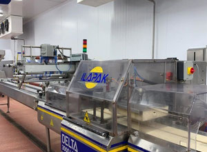Ilapak Delta 3000 LD Flowpack