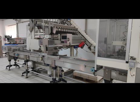 Complete Automatic Line Packaging Trays Technopack Flow Pack - Opem Inox A304 P00911066