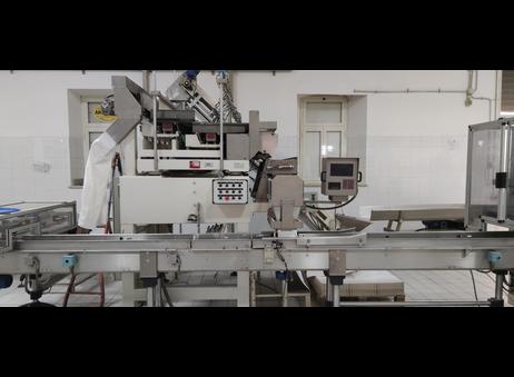 Complete Automatic Line Packaging Trays Technopack Flow Pack - Opem Inox A304 P00911066