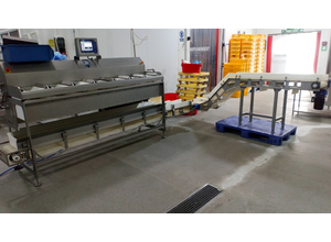 Marel TBL 3000 Feeder - scale - sorting machine