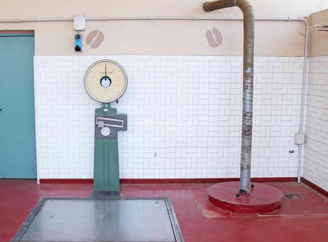 Vittoria 60 kg P10113008