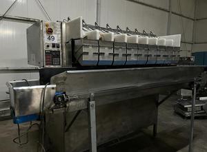 Newtec 2009XB Multihead weigher