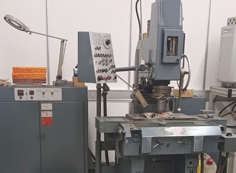 Hauser 3SMO P231020081