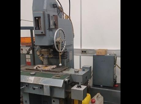 Hauser 3SMO P231020081