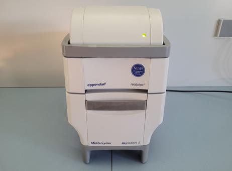 EPPENDORF Mastercycler Ep Gradient s Realplex 2 P231026061