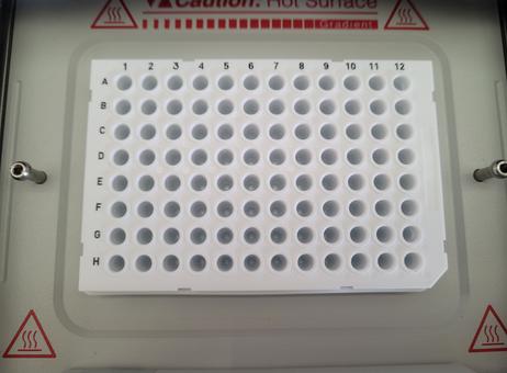 EPPENDORF Mastercycler Ep Gradient s Realplex 2 P231026061