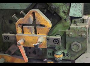 PEDDINGHAUS PEDDY Profile shear