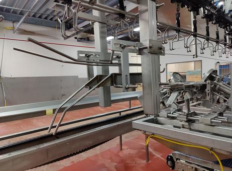 Linco Linco flex cut-up line P240418045