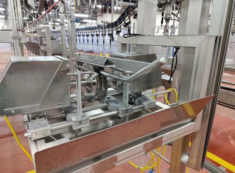 Linco Linco flex cut-up line P240418045