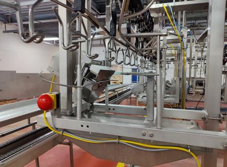 Linco Linco flex cut-up line P240418045