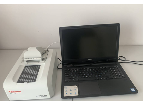 Thermo Scientific NANODROP 800 P240708065