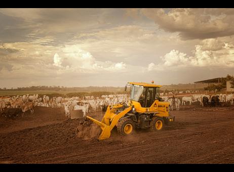 Shandong Lingong Construction Machinery Co., Ltd L918H P240912045