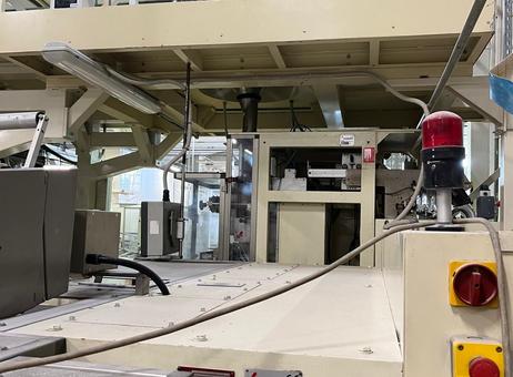 Ricciarelli Double square bottom short pasta packaging machine P241104026