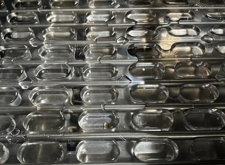 Multivac R245 P241112080