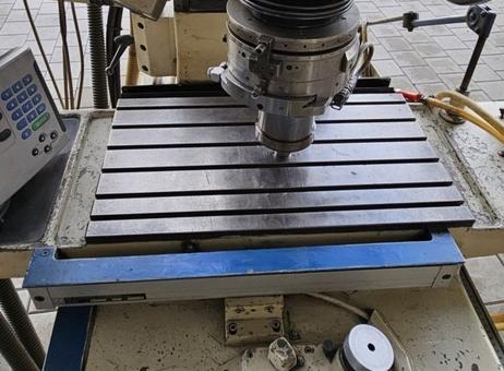 HAUSER 3SM P241205217