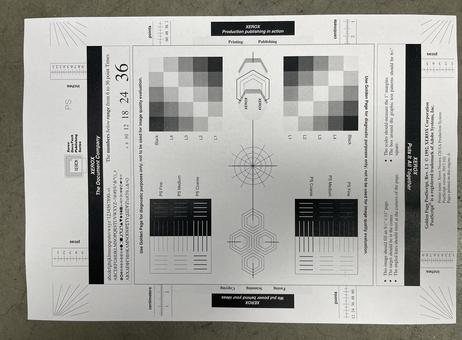 Xerox Nuvera 120 EA P250216015