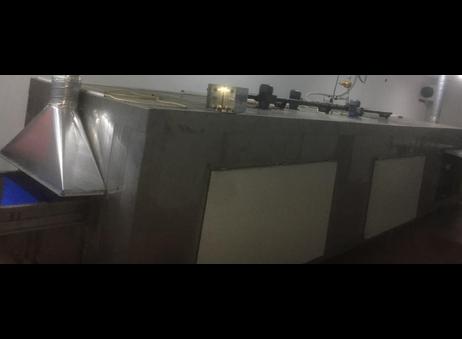 Levent Makina(Turkish) IQF Freezer P250228098