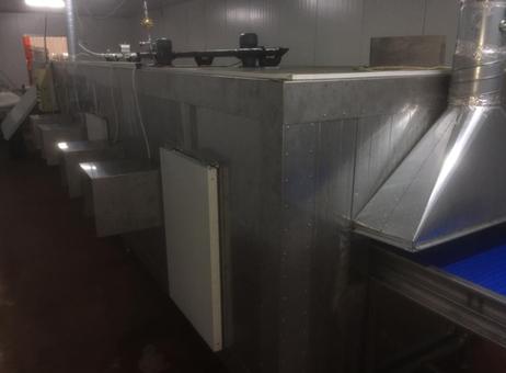 Levent Makina(Turkish) IQF Freezer P250228098