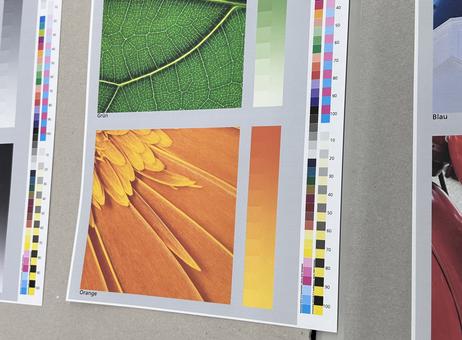 Canon VarioPrint i300 P250515016
