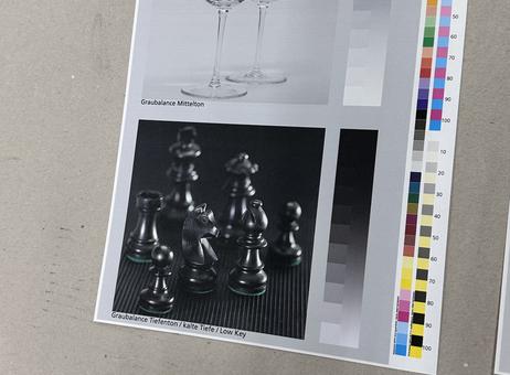 Canon VarioPrint i300 P250515016