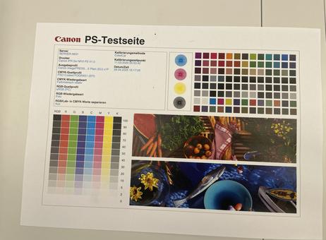 Canon imagePRESS C165 P250515031