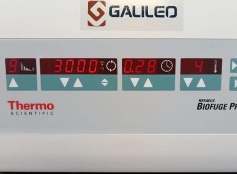 Thermo Biofuge Primo R P250629034