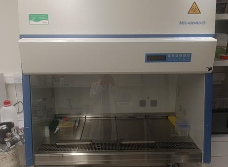 Thermo scientific MSC Advantage 1.2 MSC Advantage 1.2 P250705014