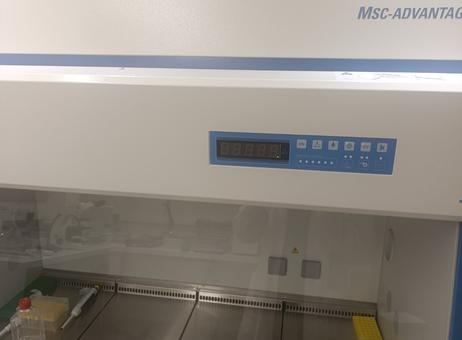 Thermo scientific MSC Advantage 1.2 MSC Advantage 1.2 P250705014