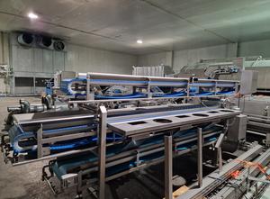 Marelec 2MC/3/6 Grader for continuous sorting