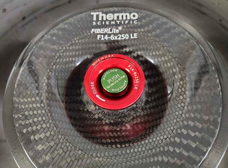 THERMO SCIENTIFIC SL 40 FR P250908328