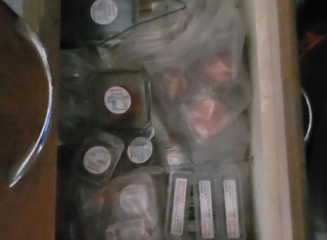 Air Liquide SAF Plasmatome 25HP P251018085