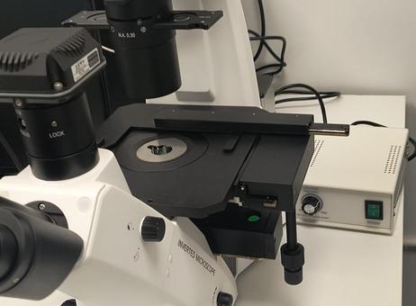 KERN OPTICS OCM 161 P251022056
