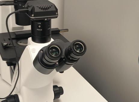 KERN OPTICS OCM 161 P251022056