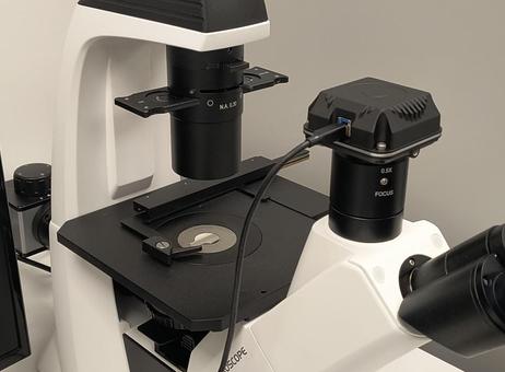 KERN OPTICS OCM 161 P251022056
