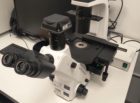 KERN OPTICS OCM 161 P251022056