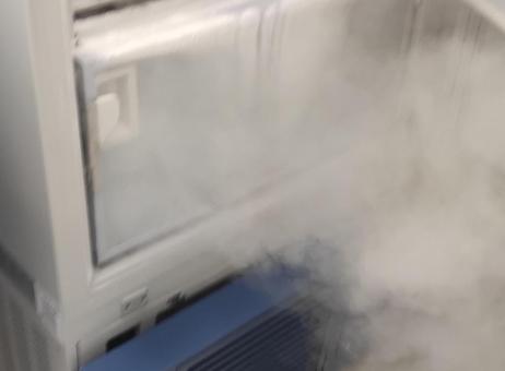 Qingdao Haier Biomedical Ultra Low Temperature (ULT) Freezer DW-86L578J P251023027