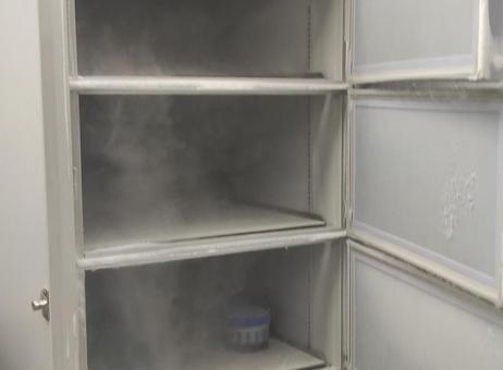Qingdao Haier Biomedical Ultra Low Temperature (ULT) Freezer DW-86L578J P251023027