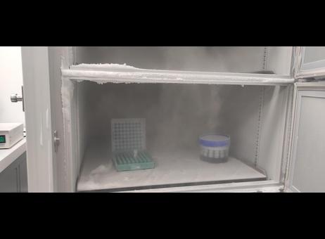 Qingdao Haier Biomedical Ultra Low Temperature (ULT) Freezer DW-86L578J P251023027