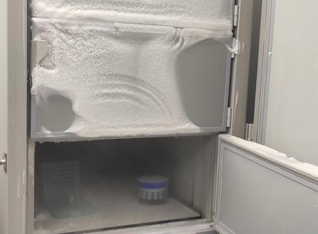 Qingdao Haier Biomedical Ultra Low Temperature (ULT) Freezer DW-86L578J P251023027