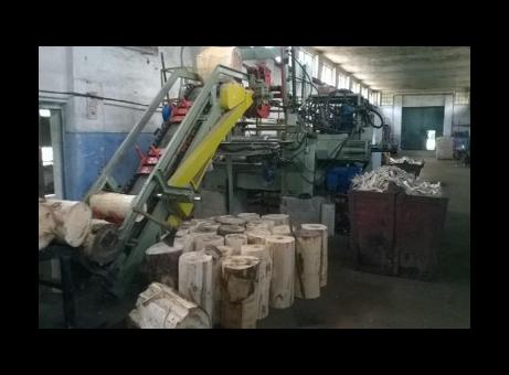 Corali PV-208-RASCO,CORALI M.82-S P251113028