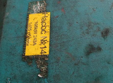 BORNEMANN W7T 2zk-130 P251119192
