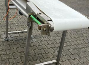 NN Verleseband Vegetable and fruit cutting, washing and blanching machine