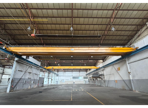 GUTTER  5T MONOTRAVE Hoister