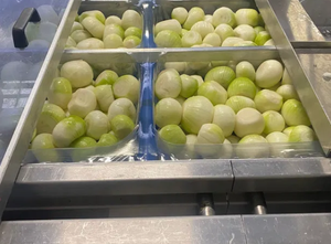 Repak RE 3 Form, Fill and Seal (FFS) line