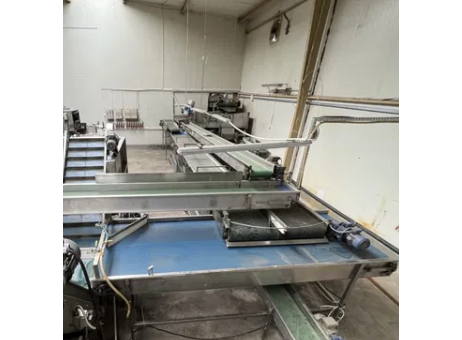 Vegetable sorting line carrots beets parsley onions potatoes P260212475