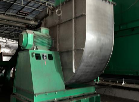Runnick ernners Swiss combi belt dryer P260130025