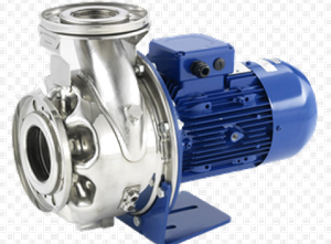 Lowara ESHE 80-250/55 /P45VSNA